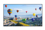 Panasonic TH-75EQP1 75" IPS Panel/E-LED 4K 18/7 OPS 3840 x 2160 Landscape/Portrait
