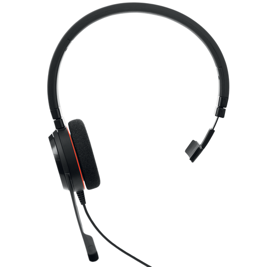 Jabra Evolve 20, USB C/A UC Mono (4993-829-269)
