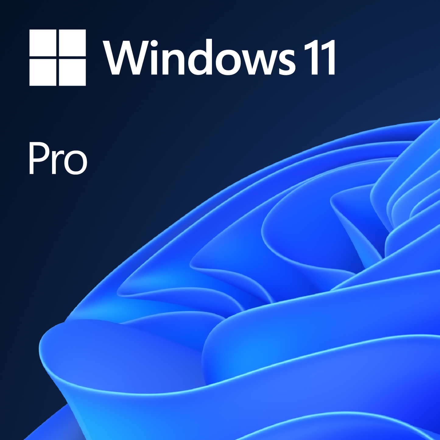 Microsoft Windows 11 Pro 64bit OEM (FQC-10528)