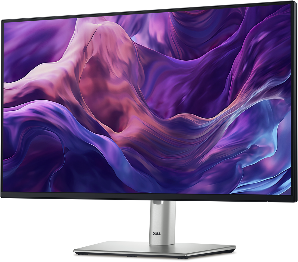 Dell Pro 24 Plus P2425H Monitor – ELN Online Store - Philippines