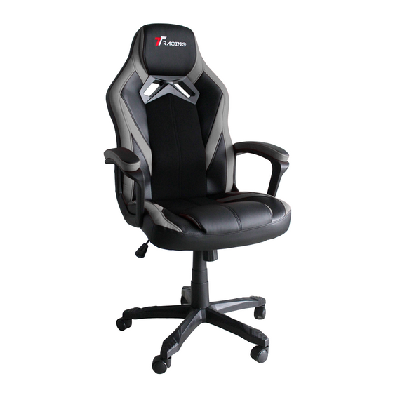 TTRacing Duo V3 Gaming Chair Grey